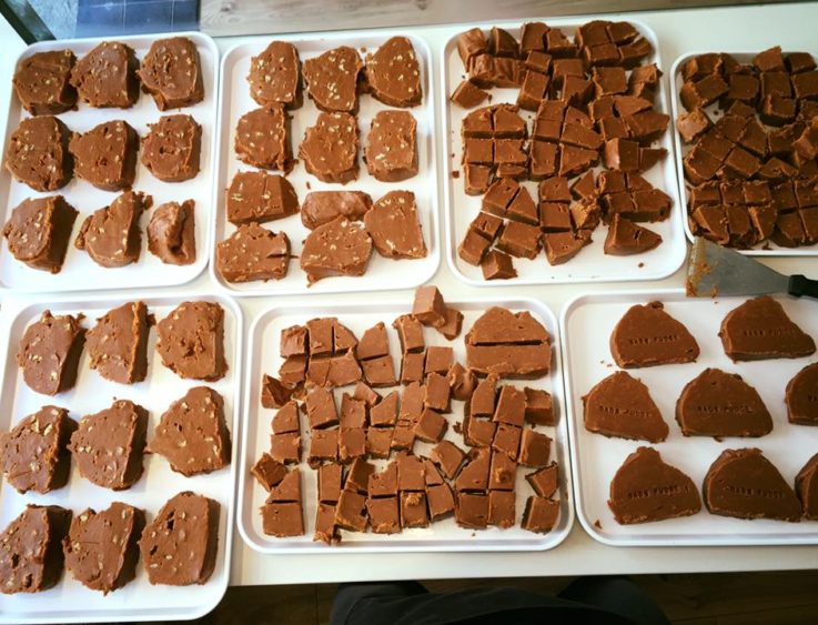 Polperro fudge types