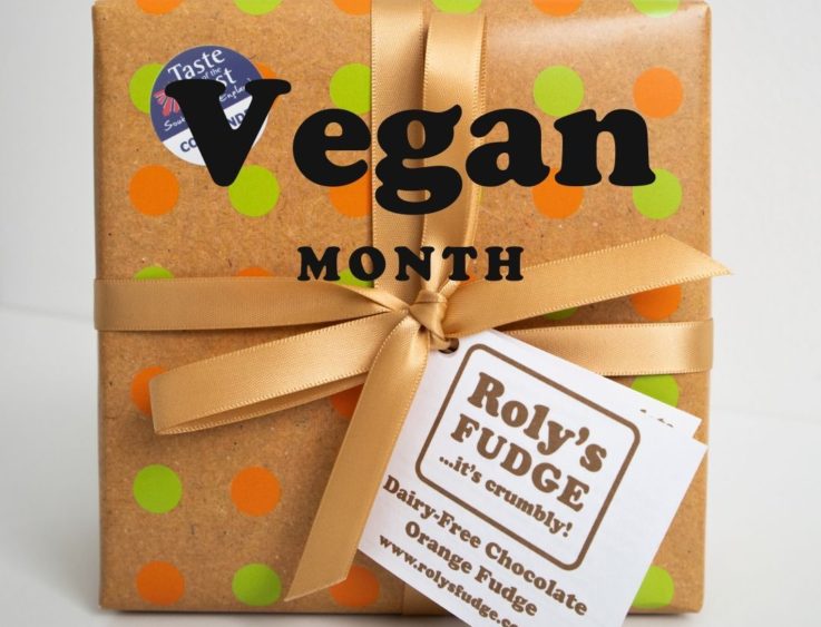 vegan fudge, vegan month, roly's fudge